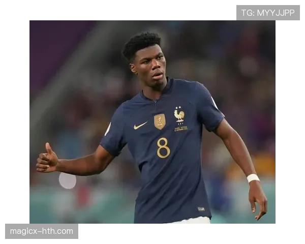 楚阿梅尼青训经历 楚阿梅尼青训经历